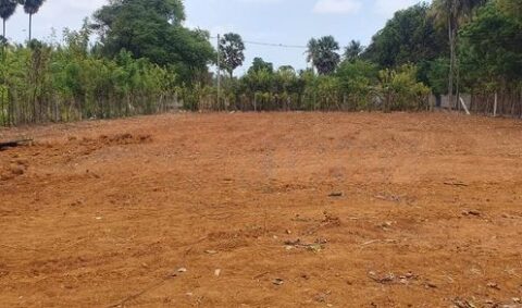 Land For Sale In Tellipalai