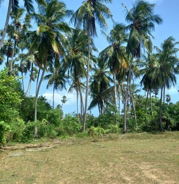 காணி விற்பனைக்கு