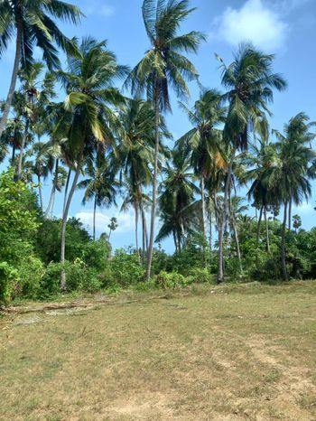 காணி விற்பனைக்கு