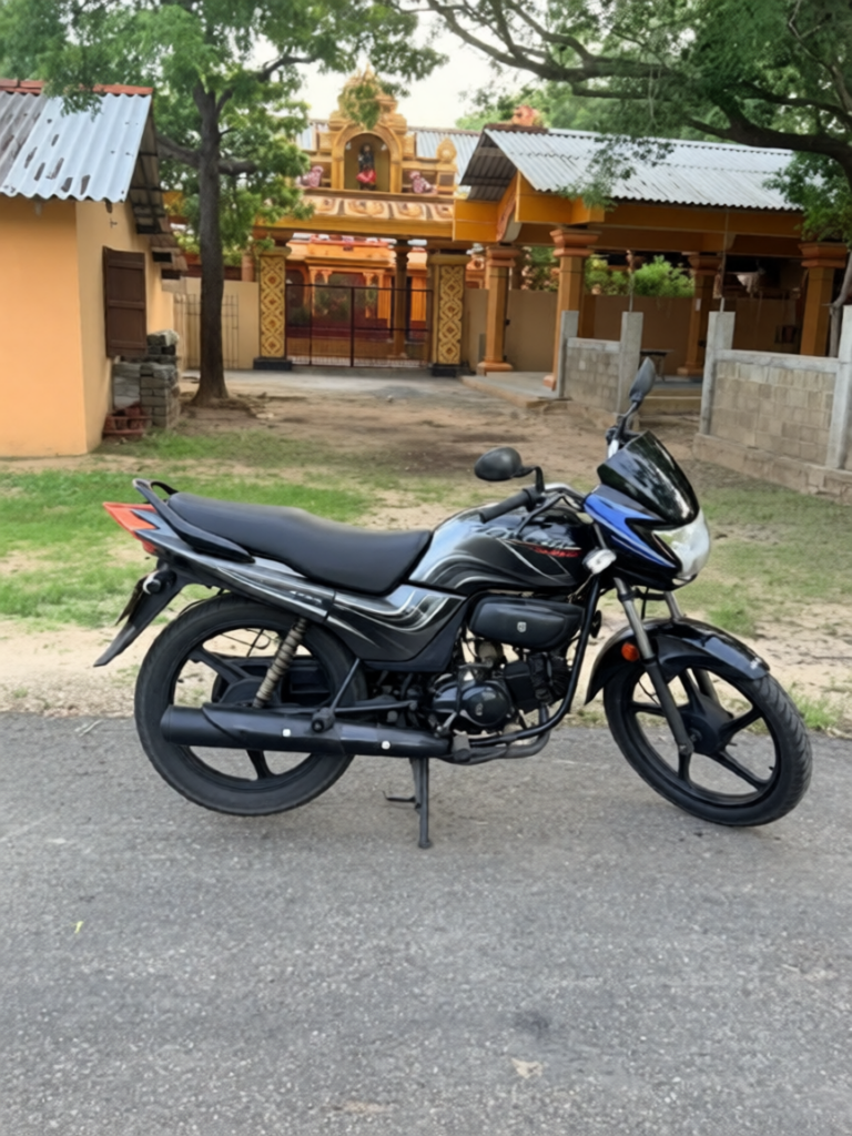 Hero Passion pro 2010