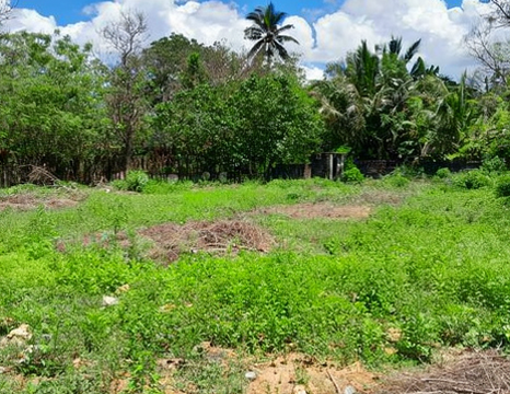 Land For Sale – Kaliyankadu