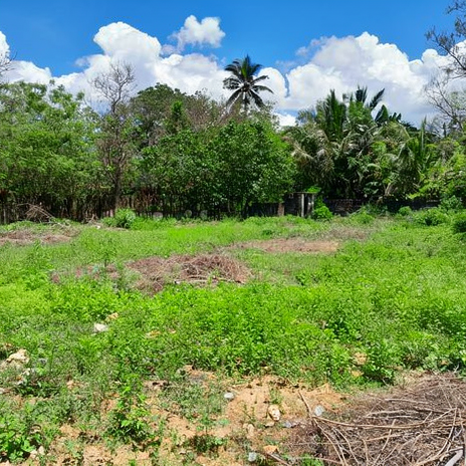 Land For Sale – Kaliyankadu