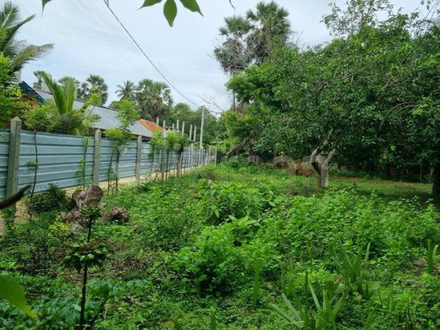 Land For Sale In Chavakachcheri