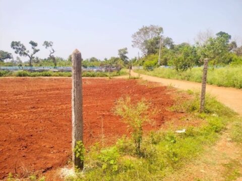 Land Sale Punalaikaduvan