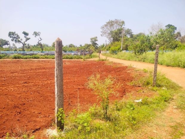 Land Sale Punalaikaduvan